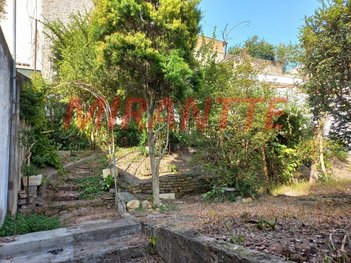 land_lot em Rua Antônio Clemente, Jardim São Paulo(Zona Norte) - São Paulo - SP