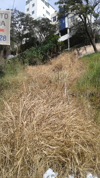 land_lot em Rua Yolanda de Sá Davis, Ouro Preto - Belo Horizonte - MG