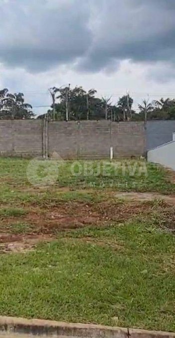 land_lot em Avenida Lidormira Borges do Nascimento, Shopping Park - Uberlândia - MG