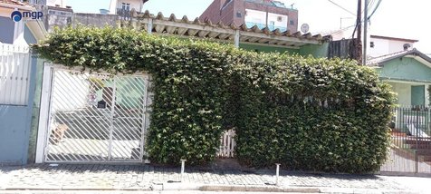 land_lot em Rua Tapecima, Vila Constança - São Paulo - SP