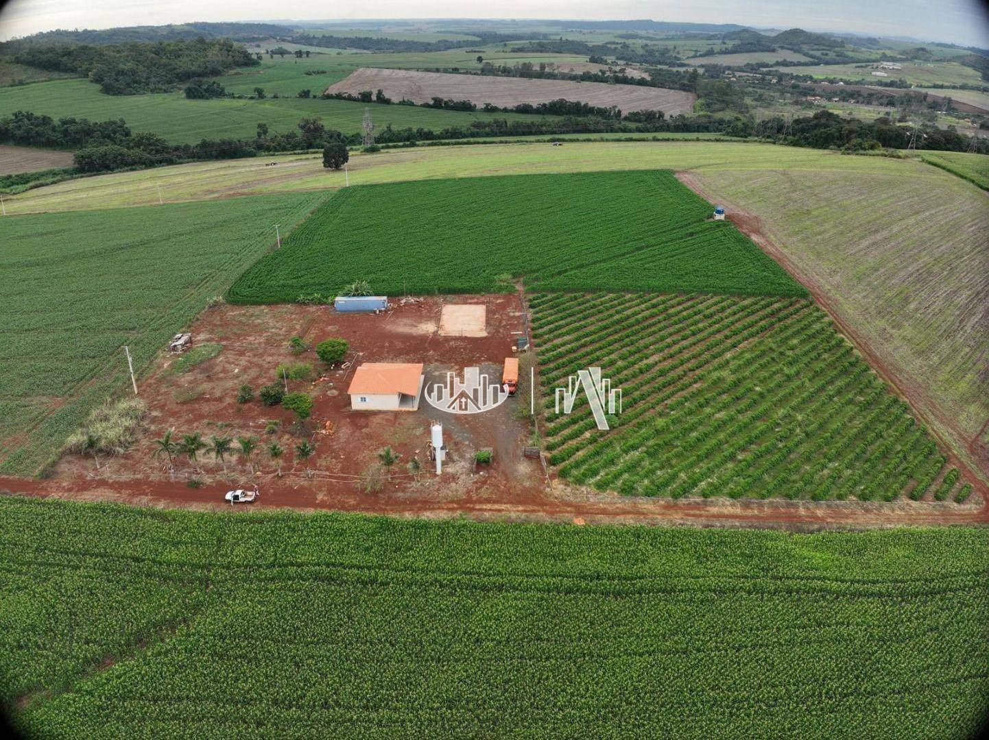 Sítio com 2 Quartos à venda, 36359 m² - Zona Rural - Londrina/PR