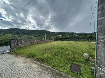 land_lot em do Lamim, Canasvieiras - Florianópolis - SC