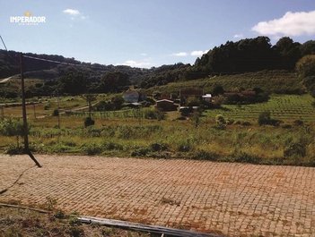 land_lot em Avelina Tomazzoni Piccoli, Monte Bérico - Caxias do Sul - RS