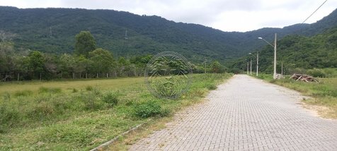 land_lot em Rodovia Baldicero Filomeno, Ribeirão da Ilha - Florianópolis - SC