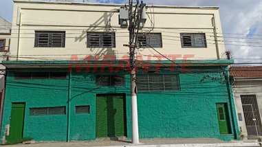 business em Paulo De Faria, Vila Gustavo - São Paulo - SP