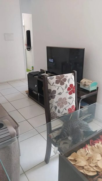 apartment em Rua Carlos Lacerda, Trevo - Belo Horizonte - MG