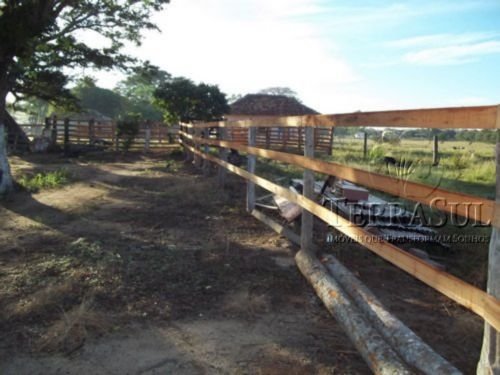 TERRENO 2