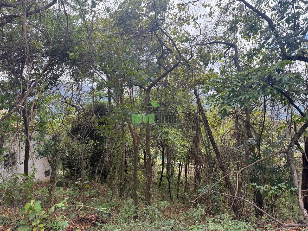 WhatsApp Image 2025-10-23 at 11.06