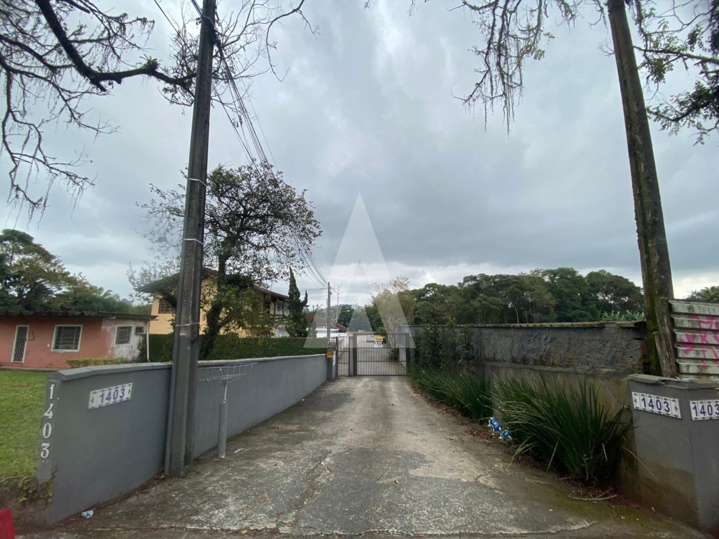 FRENTE