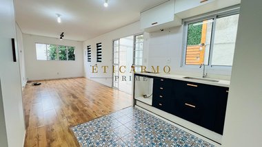 house em Rua João Ribeiro do Vale, Jardim Nossa Senhora do Carmo - São Paulo - SP