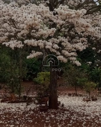 agricultural em Área Rural, Área Rural de Tatuí - Tatuí - SP