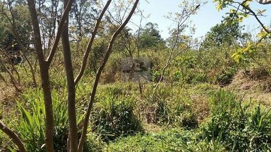 commercial_land_lot em Indio Tibirica, Ipelândia - Suzano - SP
