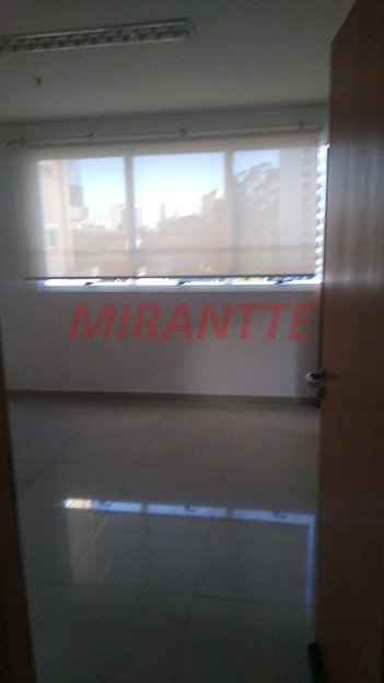 office em Voluntários Da Pátria, Santana - São Paulo - SP