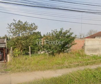 land_lot em Avenida Prefeito Barreto Viana, Cecília - Viamão - RS
