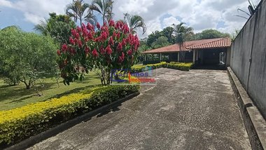 agricultural em Rua Coronel Artur Botelho, Bandeirinhas - Betim - MG