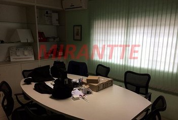 industrial em Hintem Martins, Parque Edu Chaves - São Paulo - SP