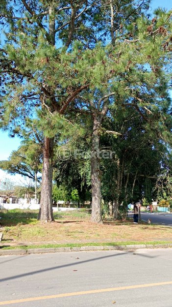 land_lot em Rua Euclides Goulart, Belém Novo - Porto Alegre - RS