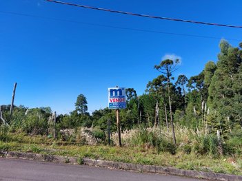 land_lot em Rua Guerino Sanvitto, Sanvitto - Caxias do Sul - RS
